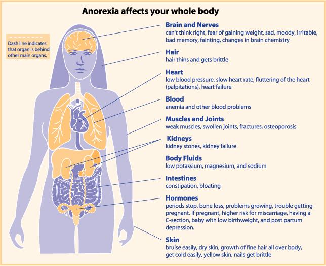 Effetti dell anoressia sull organismo Cervello e nervi: irritabilità, cambiamenti d umore, sensibilità al freddo, comportamenti ossessivi-compulsivi Capelli e Denti: diventano fragili, si spezzano e