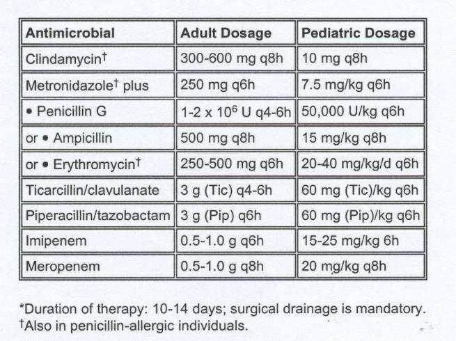 Terapia antibiotica parenterale nelle