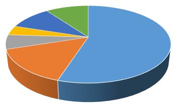 L Azienda opera nei seguenti settori: Automotive 55% 4% 6% 10% 10% 55% Automazione industriale 15% Illuminazione