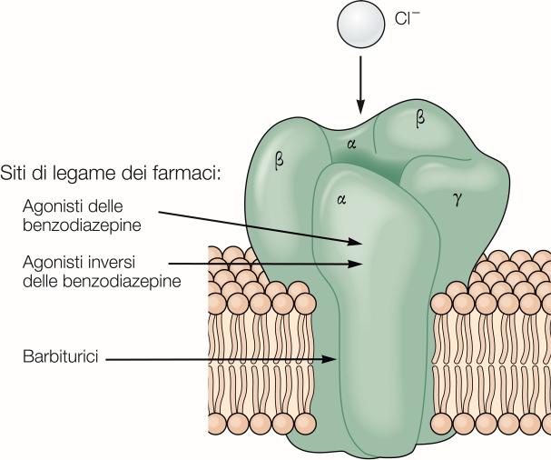 induce paura, non percepito coscientemente.