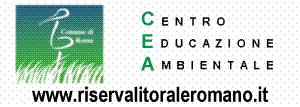 STRUMENTI DI COMUNICAZIONE sito, newsletter settimanale (4000 iscritti),