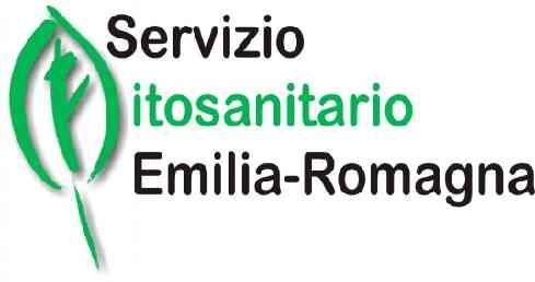 Parma, 28 Febbraio 2018 SEMINARIO TECNICO: Gestione di Ralstosnia solanacearum su pomodoro e patata Situazione nel 2017 in Emilia-Romagna Anna Piana, Clelia Tosi - Servizio Fitosanitario