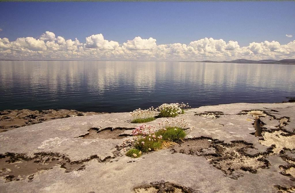 GRAN TOUR D IRLANDA, tour di gruppo 11 giorni / 10 notti Un tour studiato con cura per portare alla scoperta dell Irlanda più classica, ma anche con qualcosa in più per meglio conoscere il paese, la