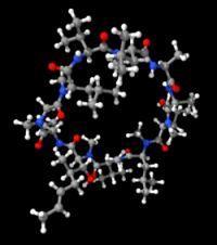struttura Small molecules (100-1000