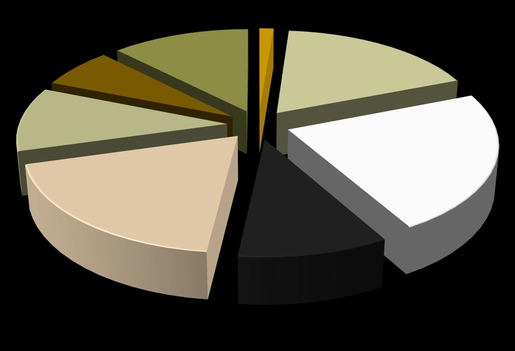 Dai settori alle professioni 2017/2021 Il fabbisogno di professioni Modello previsivo Lombardia Professioni non qualificate