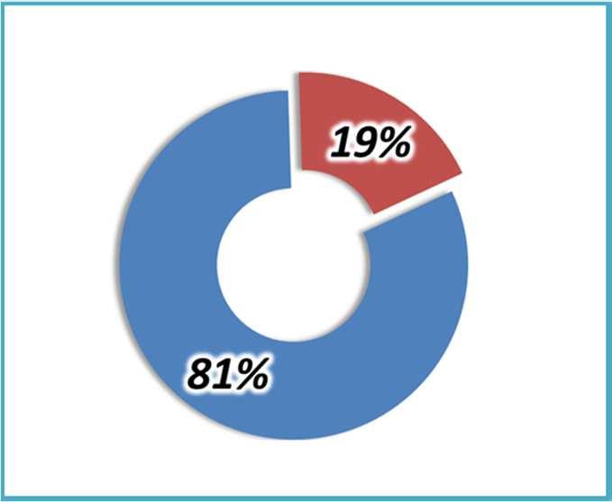 PALLIATIVE ANNO 2017 %