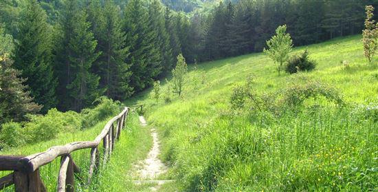 000,00 Area Appennino Tosco Emiliano Comune Provincia Regione Nazione Palazzuolo sul Senio