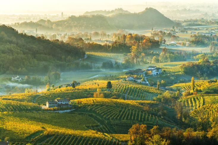 IL PREMIO GAVI LA BUONA ITALIA