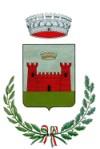 Provincia di Cagliari REGOLAMENTO DEL SERVIZIO CIVICO COMUNALE Approvato con deliberazione del Consiglio Comunale n.