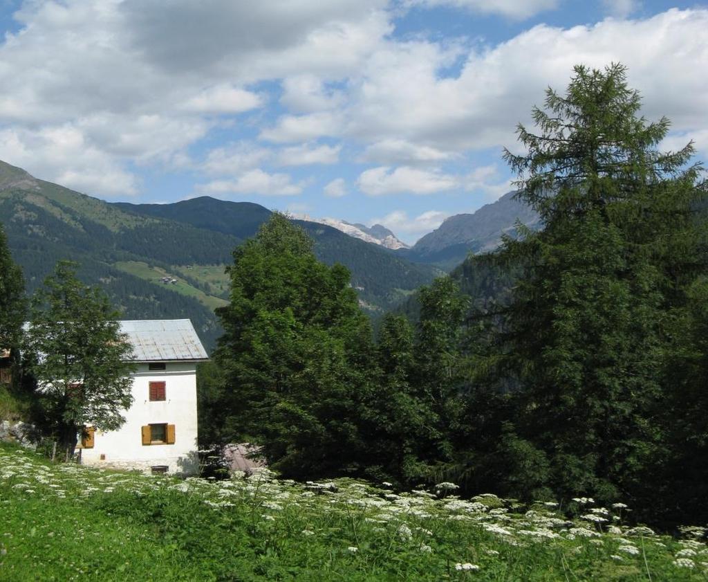 11 tappa Da Alleghe a Pieve di Livinallongo Percorso di 8 ore, dislivello in salita 1100 m, lunghezza 18 Luoghi d interesse: lago di Alleghe, Santuario di S. Maria delle Grazie, Chiesa di S.