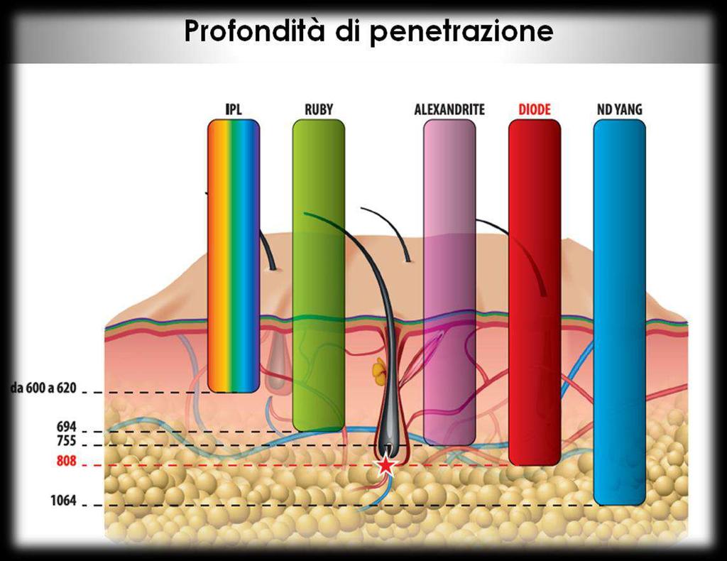 finestra la luce può essere assorbita anche da ossiemoglobina e da