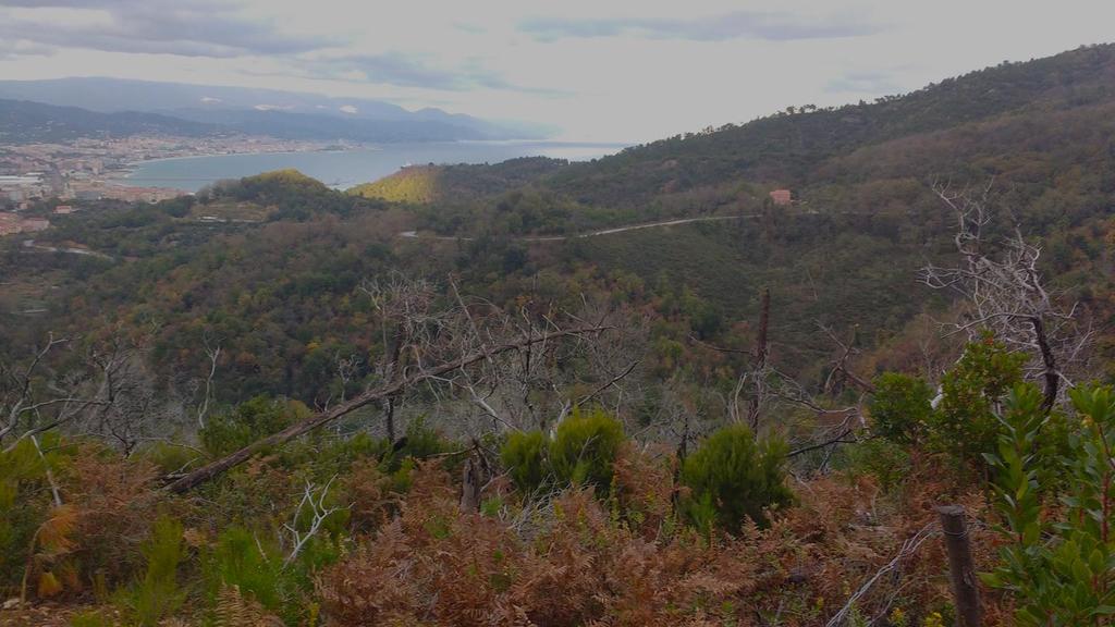 Nell ambito del progetto Mediterranean CooBEEration è stata condotta una ricerca per valutare l importanza dell azione dell ape nell impollinazione della flora spontanea in ambienti degradati dell