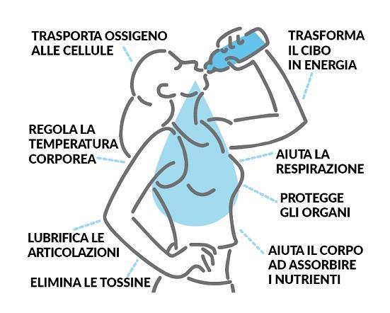 Acqua alcalina Il livello del ph nel corpo ha una funzione determinante per il benessere totale dell organismo e deve quindi essere correttamente bilanciato.