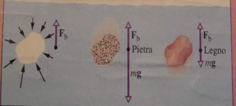Il principio di Archimede Un oggetto immerso in un fluido riceve una spinta diretta verso l'alto pari alla forza-peso del fluido spostato L acqua che circonda la cavità esercita forze sui confini