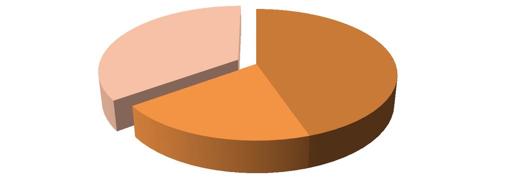 Stato del finanziamento ai soggetti attuatori n 134 SOGGETTI ATTUATORI n 76 ENTI LOCALI n 13 ENTI RELIGIOSI n 45 ALTRO n 32 ENTI LOCALI n 21 ENTI LOCALI n 23 ENTI LOCALI n 60 SOGGETTI CHE NON HANNO