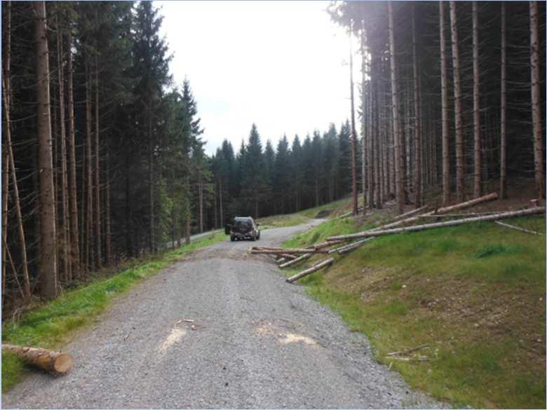 VIABILITÀ FORESTALE CAMIONABILE di recente costruzione Viabilità forestale su proprietà regionale con fondi PAR FSC Denominazione Foresta regionale Importo