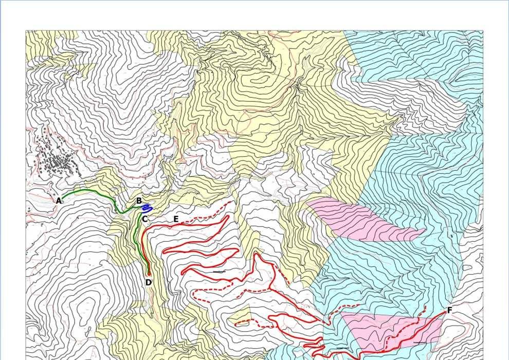 VIABILITÀ FORESTALE: