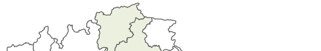 ITALIA: Distribuzione in % della PLV ortofrutticola per le principali Regioni (anno 2013) Trentino Alto Adige media 2009-13 = 5% / anno 2013 =