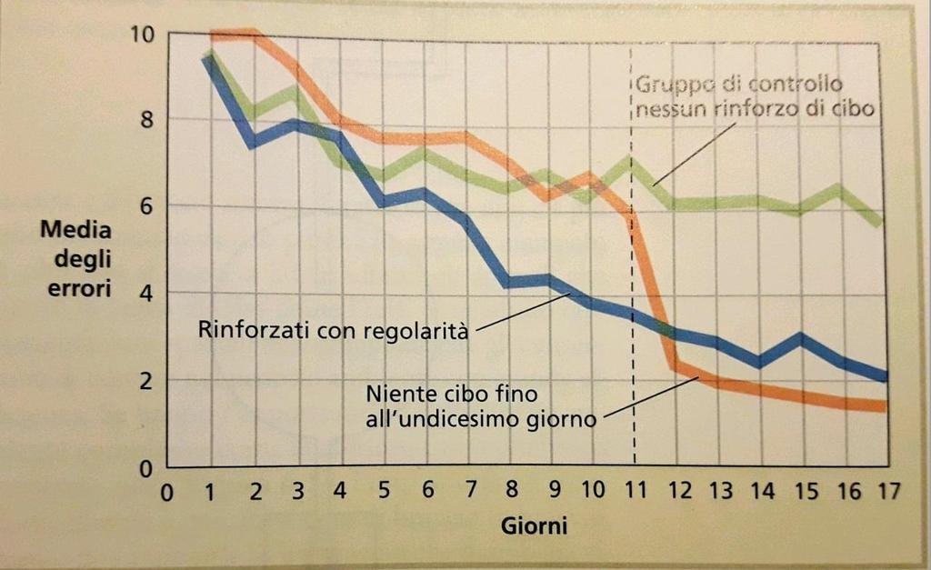 IL CONDIZIONAMENTO OPERANTE: COMPONENTI COGNITIVE Uno degli esperimenti più importanti sull apprendimento latente fu condotto da Tolman e Honzik (1930) su dei ratti.