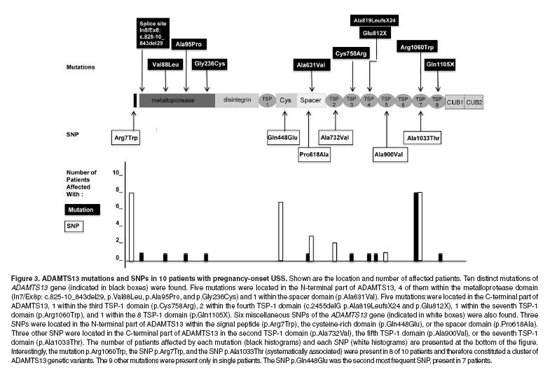 PTT congenita e gravidanza: la genetica conta Mutazione p.