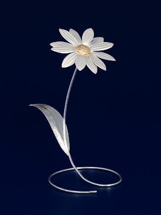 43 Margherita 1 fiore da tavolo con petali colore bianco