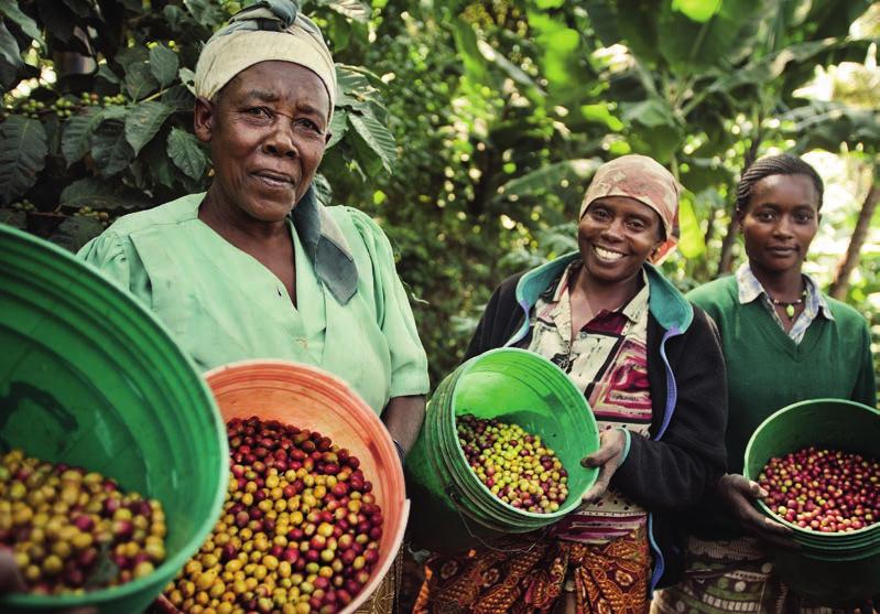 www.coopalleanza3-0.it GVC E FAIRTRADE Punti fermi contro le povertà GVC e Fairtrade lavorano da anni a fianco delle donne nelle comunità più povere del mondo.