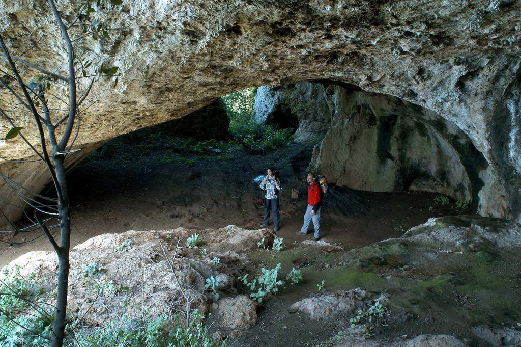 Fig. 6 - L interno della grotta visto dal gradone roccioso