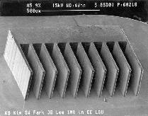 occhio  5 µm