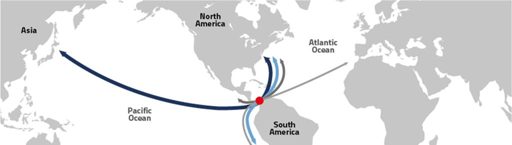 I passaggi attraverso il nuovo Canale di Panama La principale rotta è Costa Est USA - Asia che copre il 31% del totale dei traffici.