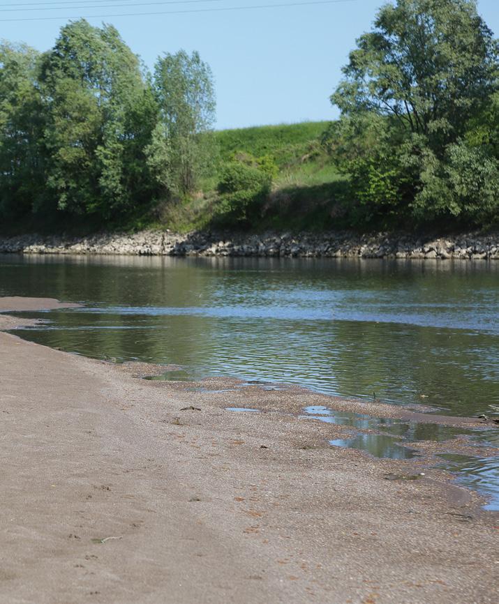 L ACQUA DI ACQUEVENETE Il territorio servito da acquevenete è molto vasto e l acqua erogata arriva da fonti diverse: Acque superficiali (per esempio fiume Adige) Acque di sorgente (per esempio