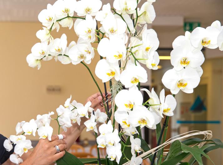 FAX Se desidera trasmettere un fax può rivolgersi alla reception della Clinica. FIORI I fiori recisi sono benaccetti ed è possibile richiedere al personale i vasi necessari.