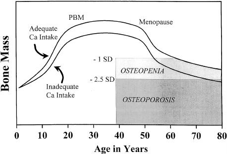 CALCIO INSUFFICIENZA = MASSA OSSEA SUB-OTTIMALE CON RIDOTTA MINERALIZZAZIONE, FAVORISCE OSTEOPOROSI E FRATTURA DeLucia MC et al. J. Clin. Endocrinol. Metab.