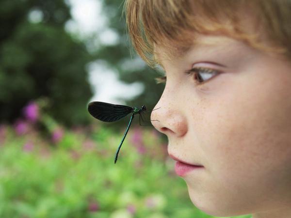 BioBlitz è, fondamentalmente, un azione educativa che garantisce il coinvolgimento contemporaneo di: insegnanti e loro classi; università,