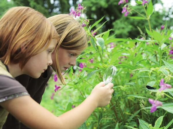 tecnico per la gestione delle risorse naturali e, ultime, ma non per ordine d importanza, le famiglie dei ragazzi delle scuole coinvolte.