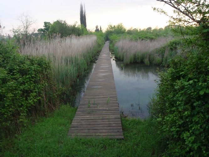 INCONTRO CON RICERCATORI E SCIENZIATI: un BioBlitz permette di raccogliere informazioni di base su alcuni gruppi sistematici di specie e incoraggia le persone a relazionarsi