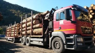 Viabilità forestale boschi pianificati con valenza anche produttiva (Friuli