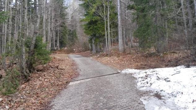 progettano e si autorizzano la pavimentazione in cemento o l asfaltatura senza considerare che: si impermeabilizza il terreno si riduce il periodo di accessibilità in inverno