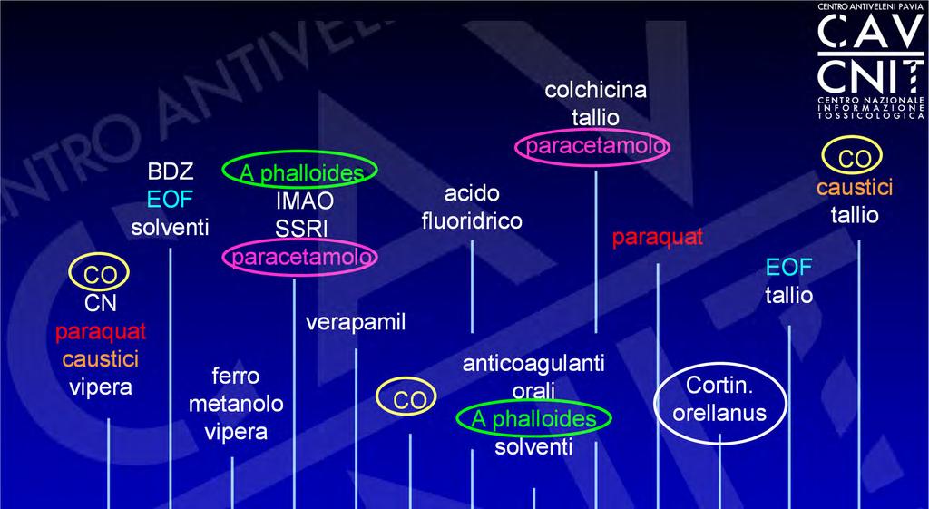 CO CN paraquat caustici vipera BDZ EOF solventi A phalloides IMAO SSRI