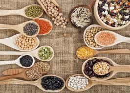 Articolo 12 Norme di produzione VEGETALE Per la produzione di prodotti diversi dalle sementi e dai materiali di