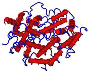 Gli interferoni (IFN) sono una classe di proteine prodotte dalle cellule del sistema immunitario (globuli bianchi, fibroblasti) in risposta all'attacco di agenti esterni come virus, batteri,