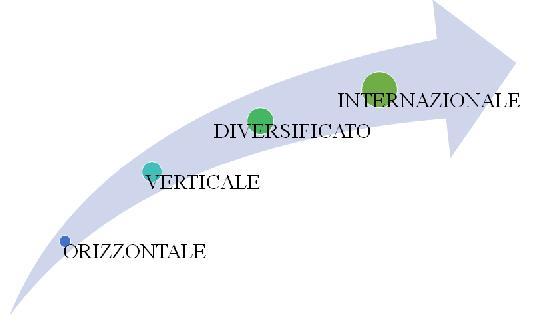 Il SOGGETTO ECONOMICO CONTROLLO SENZA INVESTIMENTO DIRETTO DI CAPITALI SVILUPPO DIVERSIFICATO HOLDING Z La società produce automobili Sviluppo conglomerale Tecnologie (no) (non ci sono affinità