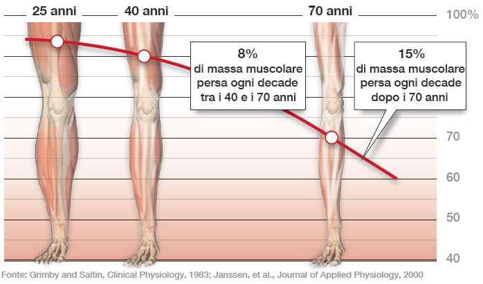 MUSCOLARE E ALLENARSI PER LA FORZA E IMPORTANTE PER TANTI MOTIVI MUSCOLI