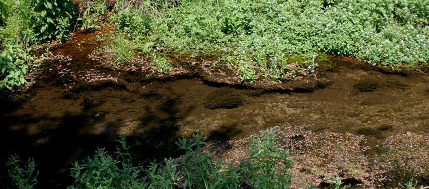 L argilla è impermeabile, l acqua quindi è costretta a scorrere sottoterra fino alla bassa pianura.