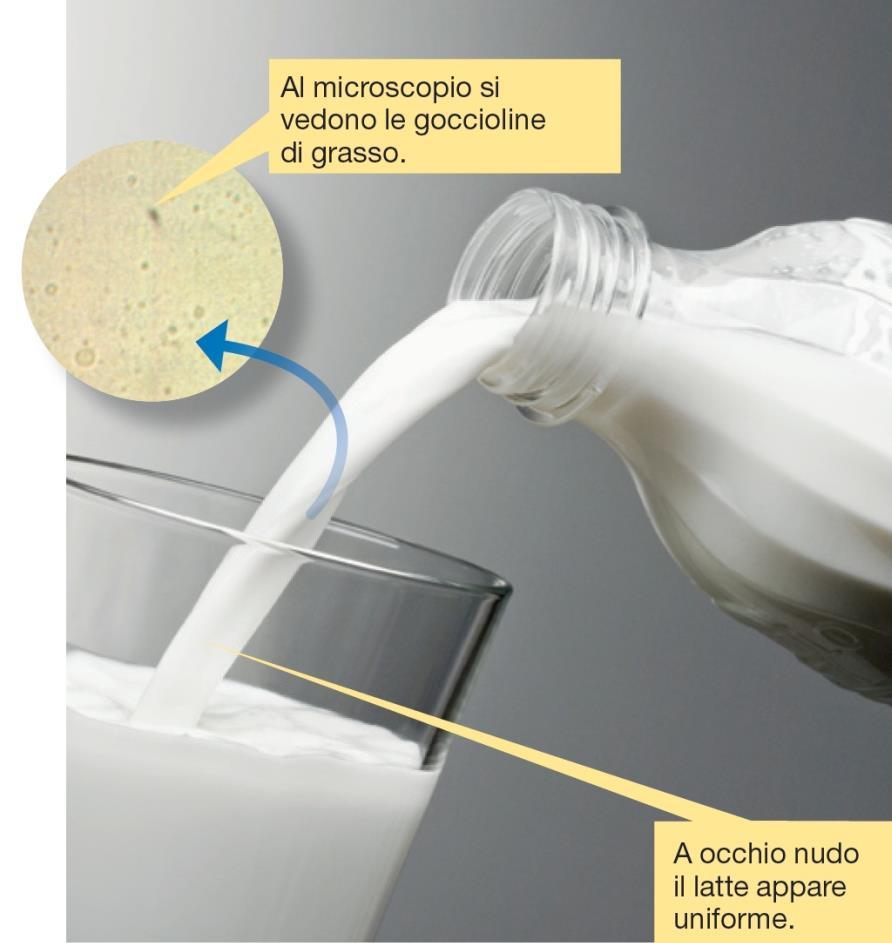 Miscugli eterogenei esempio5 Al microscopio si vedono le