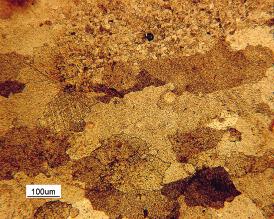 deformati dall operazione di tranciatura a 750 C in alcune zone il grano assume una dimensione compresa fra 100µm e 180µm circa.