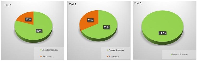 Grafico 1- Andamento della mortalità degli adulti nelle tesi trattate e nel controllo Al termine della prova è stato prelevato per ogni vaso un campione di terreno per verificare se nel substrato, a