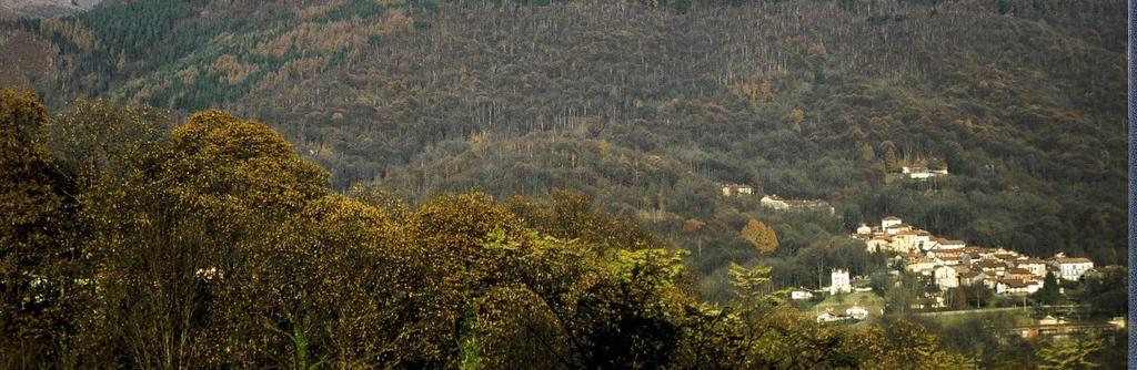 della risorsa forestale Rilancio di alcune pratiche zootecniche (mantenimento