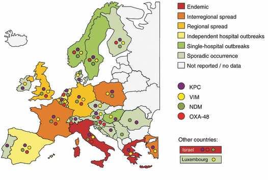 Situazione europea della diffusione di enterobatteri