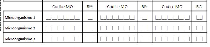 Dati sul paziente (Scheda P): 1 scheda per paziente Fenotipo di resistenza R = intermedio o resistente (se intermedio registrare come R). S = Sensibile. AMPI = penicillina A o amoxicillina.