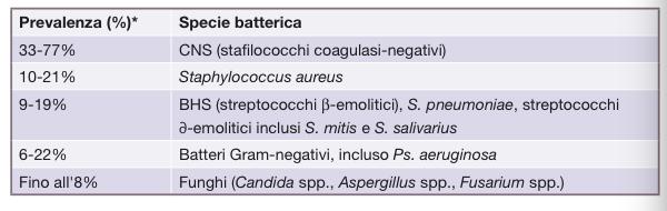 MICRORGANISMI COMUNI NELL